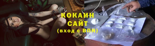 ПСИЛОЦИБИНОВЫЕ ГРИБЫ Абаза