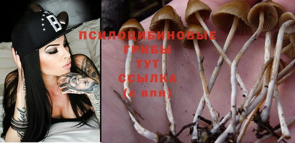 бутират Алзамай