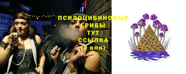 ПСИЛОЦИБИНОВЫЕ ГРИБЫ Абаза